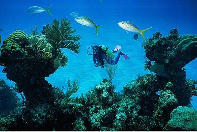 修长城模拟器《中国边疆》招募新地图试玩  2024年Q2发售